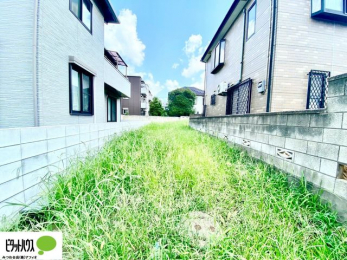 �y�n�ʐ^�@���n�ʐ^