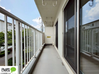 �o���R�j�[�@�z������̗ǂ��L�X�o���R�j�[�B