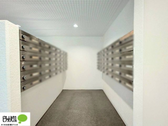 ���̑��@�|�X�g