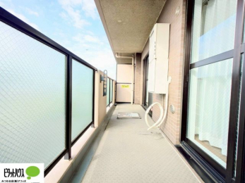 �o���R�j�[�@�z�c�₽������̐��󕨂������郏�C�h�o���R�j�[�́A��������̗ǂ�������ł�