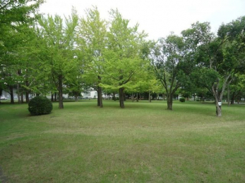 ���ӊ��@�ŒÑ�2���� �k��13���B 980m