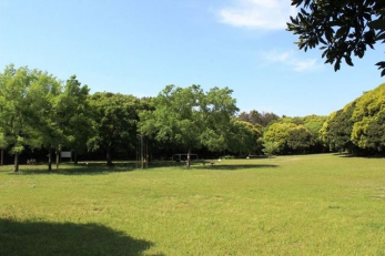 ���ӊ��@�s���ӂꂠ������ �k��10���B 780m