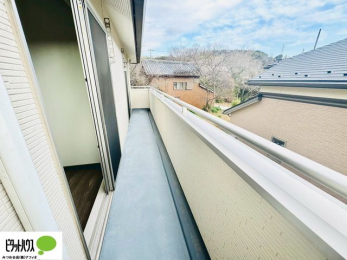 ���ց@�z������̗ǂ��L�X�o���R�j�[�B