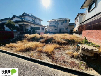 �y�n�ʐ^�@�~�n�L�X��61��