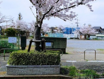 ���ӊ��@�q�̐_�������� �k��24���B 1910m