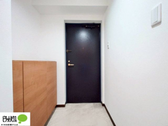 ���ց@�������̏��Ȃ����[�T�C�Y�V���[�Y�{�b�N�X