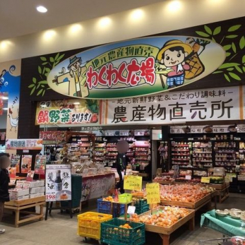 ���ӊ��@�킭�킭�L�ꃂ���[�W�����X �k��8���B 590m