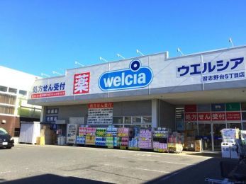 ���ӊ��@�E�G���V�A��ǏK�u���5���ړX �k��8���B 590m