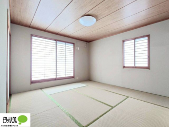 ���[�@�傫�ȑ����疾�邢�z�˂�������܂��B