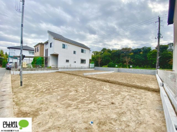 �@���n�����ʐ^�@11��16��