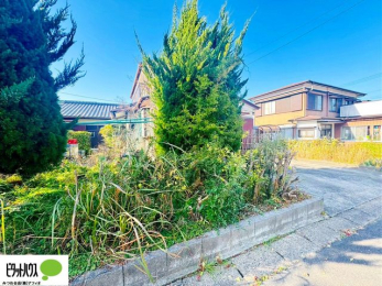 �y�n�ʐ^�@���n�����ʐ^�F2025/12/01