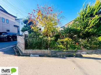 �y�n�ʐ^�@���n�����ʐ^�F2025/12/01