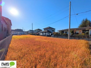 �y�n�ʐ^�@�ՐÂȏZ��n�́A���͂̑��������Ȃ��A�������������͋C�ł��B