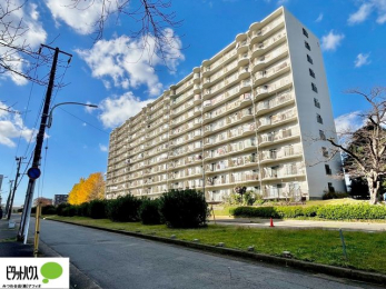 �O�ώʐ^�@JR�������u��сv�w�܂Ńo�X17���A�u�n�C�c�����v���4���B1343���т̃r�b�O�R�~���j�e�B�I