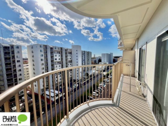 ���̑��@�z�c�₽������̐��󕨂������郏�C�h�o���R�j�[