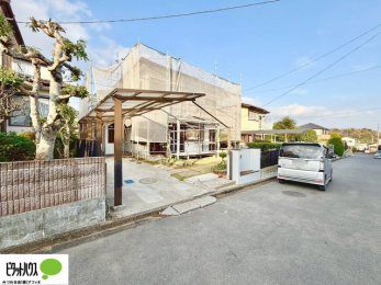 �@���n�����ʐ^�F2025�N12��2��