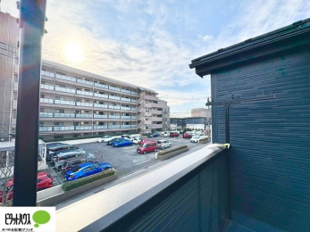 ���̑��@�o���R�j�[����̒��]�B