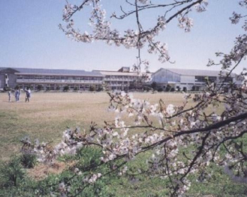 ���ӊ��@�N�Îs���N�Ò��w�Z �k��6���B 440m