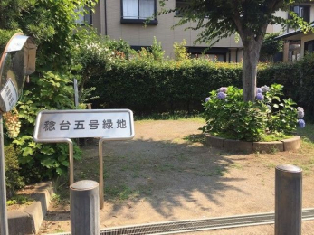 ���ӊ��@����5���Βn �k��13���B 1030m