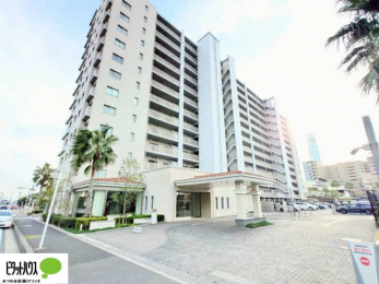 �O�ώʐ^�@�����w�͂��C�y�ɂ��⍇�����������܂��B