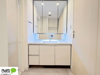 ���ʑ�E���ʏ��@�傫�ȋ��Ō��₷�����ʉ��ϑ�