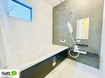 �����@�{�H��ʐ^�@�����������F���̗����ŁA1���̔��������������Ă��������B