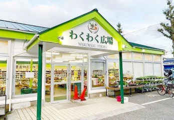 ���ӊ��@�킭�킭�L��݂��X �k��15���B 1130m