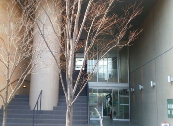 ���ӊ��@�c����݂����ȃN���j�b�N �k��12���B 920m