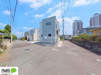 �O�ώʐ^�@�p�n�ɂ��z�����蕗�ʂ��ǍD�ł��B