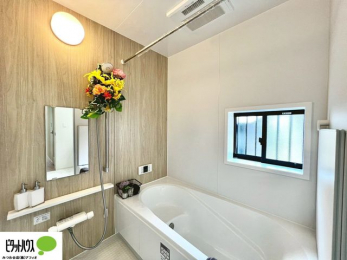 �����@�{�H��ʐ^�@�����������F���̗����ŁA1���̔��������������Ă��������B