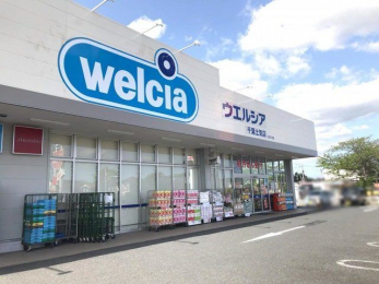 ���ӊ��@�E�G���V�A��t�y�C�X �k��45���B 3550m