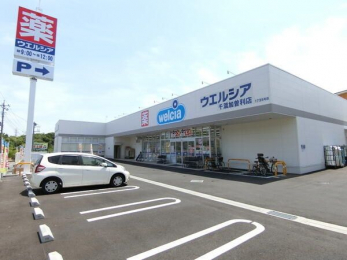 ���ӊ��@�E�G���V�A��t���]���X �k��13���B 1040m