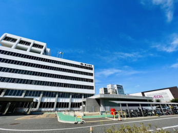 ���ӊ��@���P�J�s���� �k��31���B 2430m