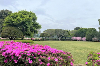 ���ӊ��@�@�T���� �k��4���B 260m