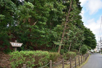 ���ӊ��@����ؗΒn �k��17���B 1290m