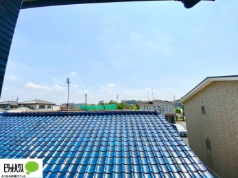 ���̑��@�o���R�j�[����̒��]�B