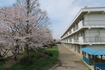 ���ӊ��@�N�Îs�����d�����w�Z �k��24���B 1870m