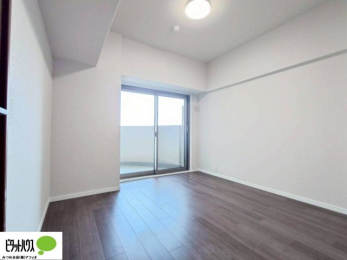 ���[�@�傫�ȑ����疾�邢�z�˂�������܂��B