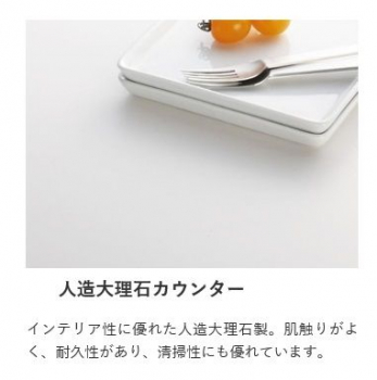 ���̑��@���G��̂����l���嗝�΂̃L�b�`���J�E���^�[�B�ϋv�������肨���������₷���ł��B