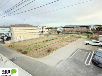 ���̑��@�o���R�j�[����̒��]�B