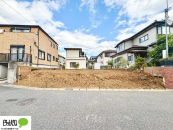 ���̑��@11��16���@���n�����ʐ^