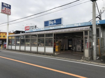 ���ӊ��@�r�b�O�E�G�[/�����J�k���x�X �k��12���B 910m