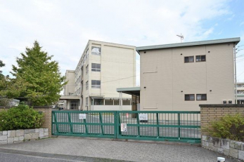 ���ӊ��@�s��s���s�����w�Z �k��7���B 560m