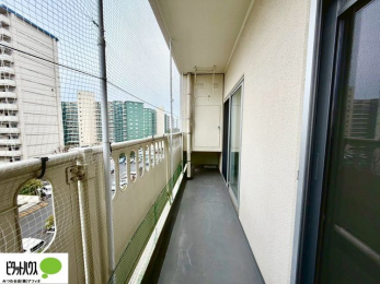 �o���R�j�[�@�z�c�₽������̐��󕨂������郏�C�h�o���R�j�[