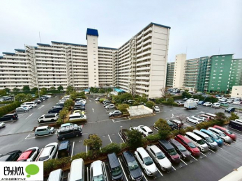 ���̑��@�o���R�j�[����̒��]�B