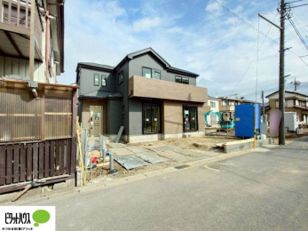 �O�ώʐ^�@2��20�����n����