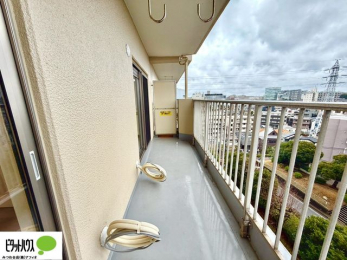 �o���R�j�[�@�z������̗ǂ��L�X�o���R�j�[�B