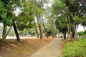 ���ӊ��@�^����3���� �k��3���B 190m