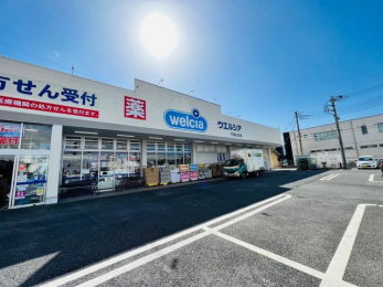 ���ӊ��@�E�G���V�A��t�R���X �k��6���B 480m