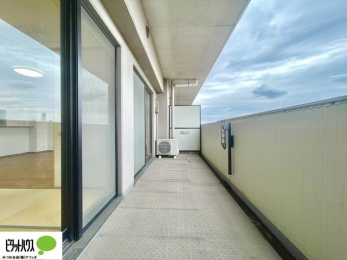 ���̑��@�z�c�₽������̐��󕨂������郏�C�h�o���R�j�[